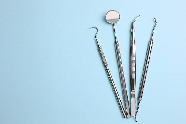 Top rated local Dental specialists in Lake Holm, WA